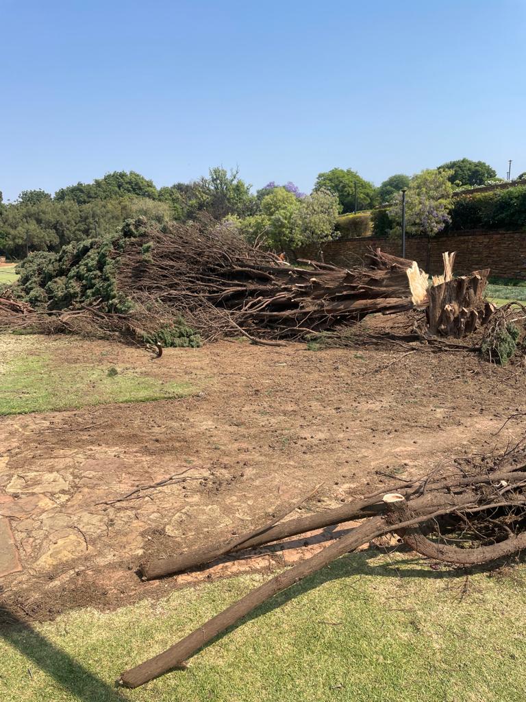 WhatsApp Image 2024-03-20 at 08.14.35_a8472998